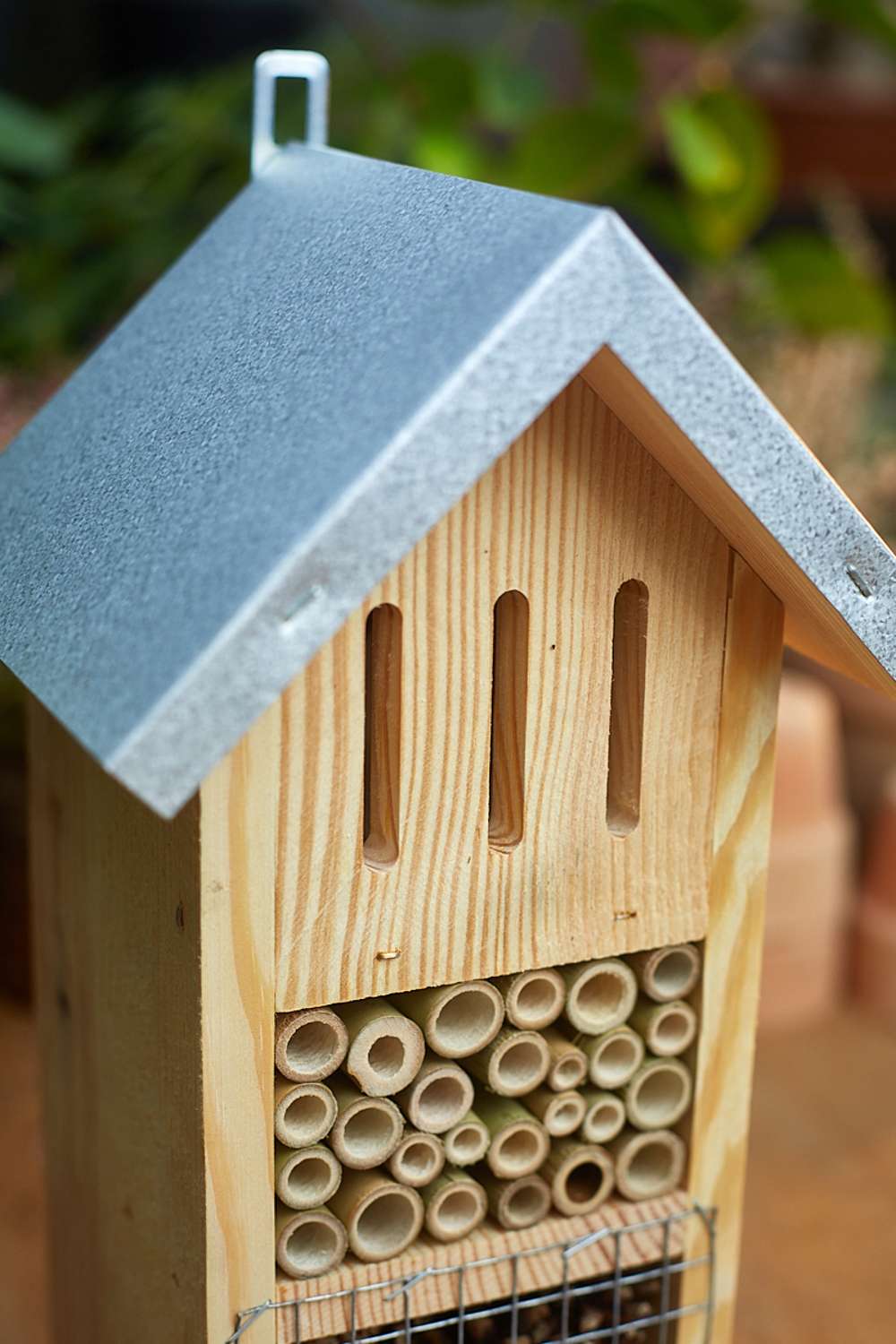 Insektshotell, zinktak